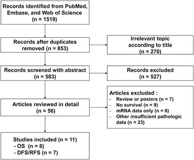 Prognostic significance of STING expression in solid tumor: a systematic review and meta-analysis